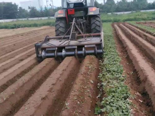 胡蘿卜專用起壟機